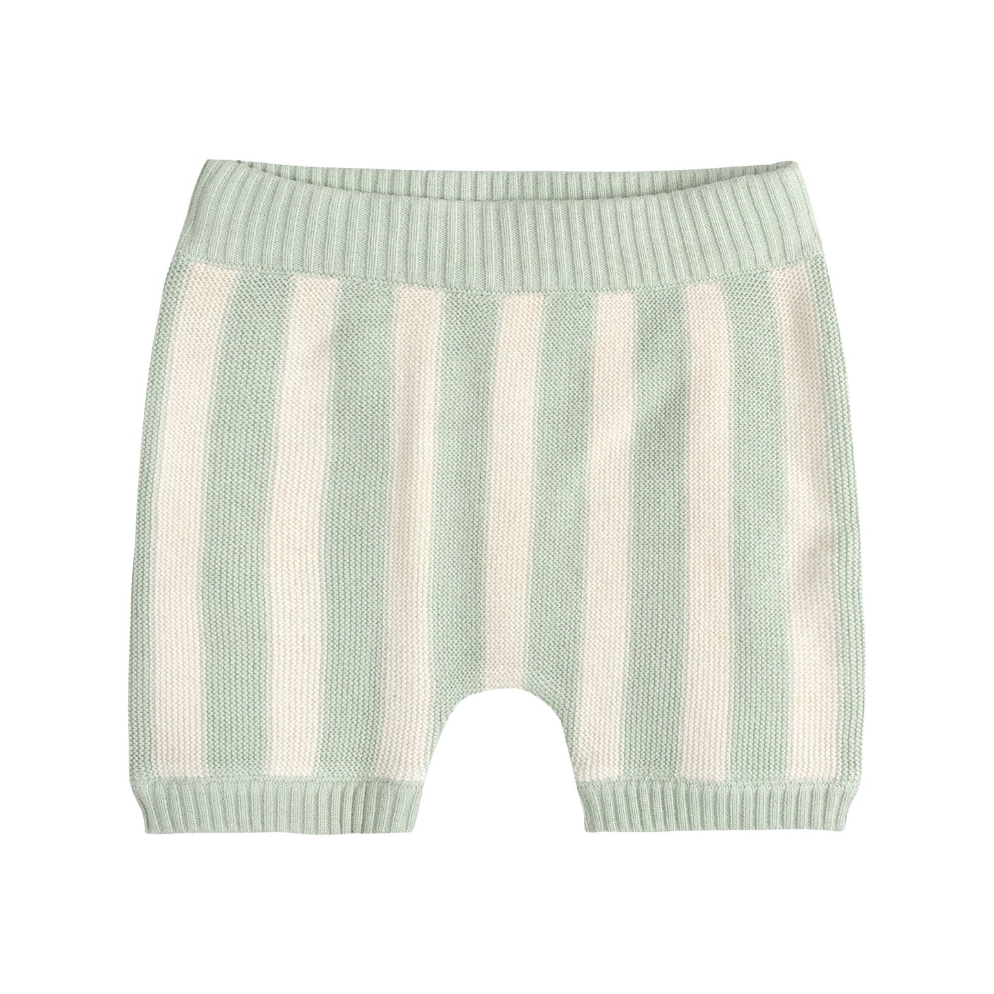 Button Down Embroidered Palms Set