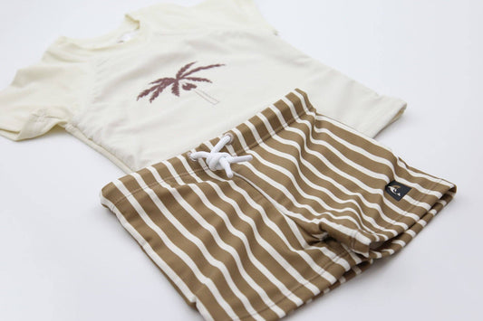 Stripe Swim Boardie Shorts