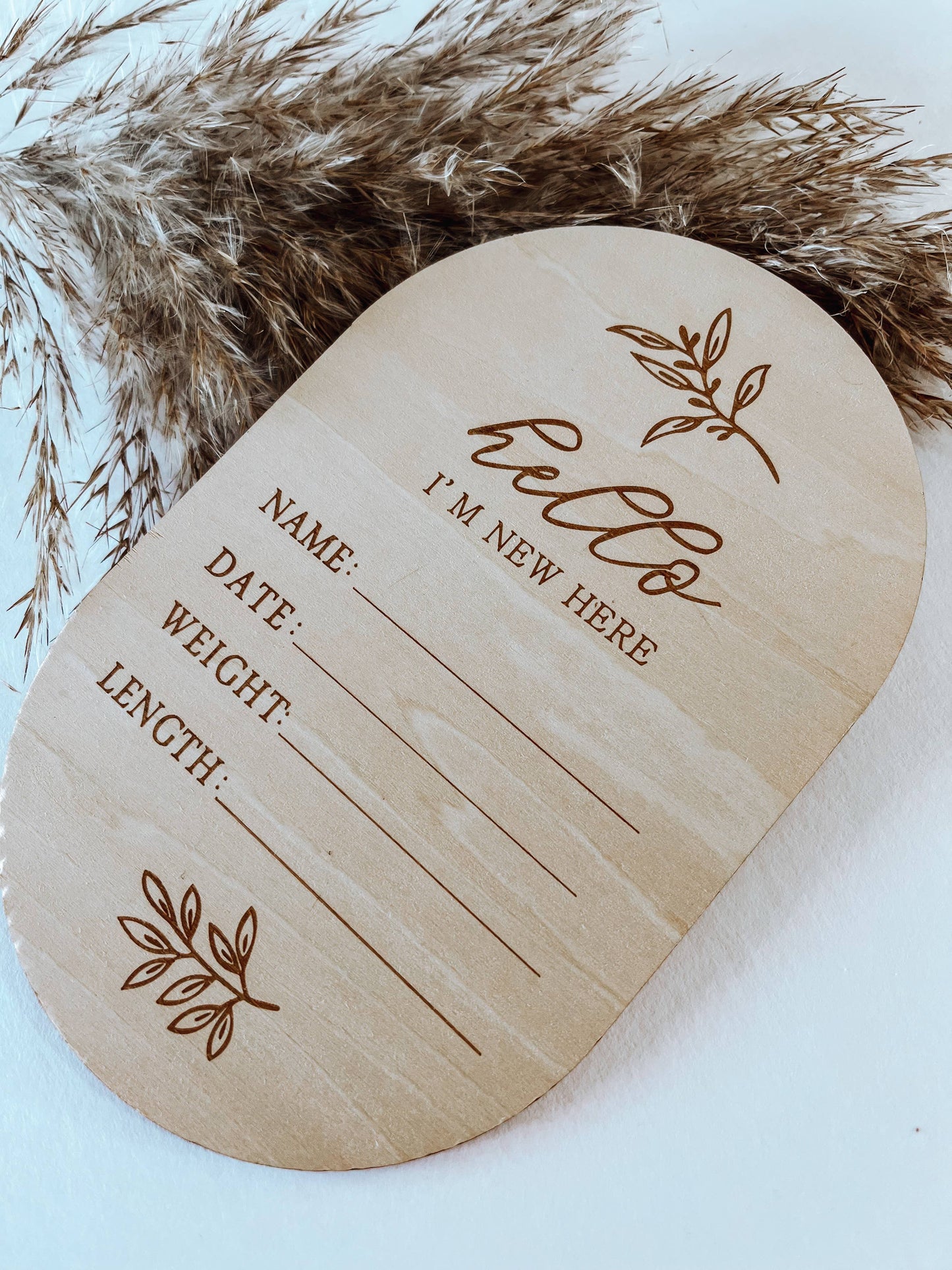 “Hello I’m New Here” Announcement Disc