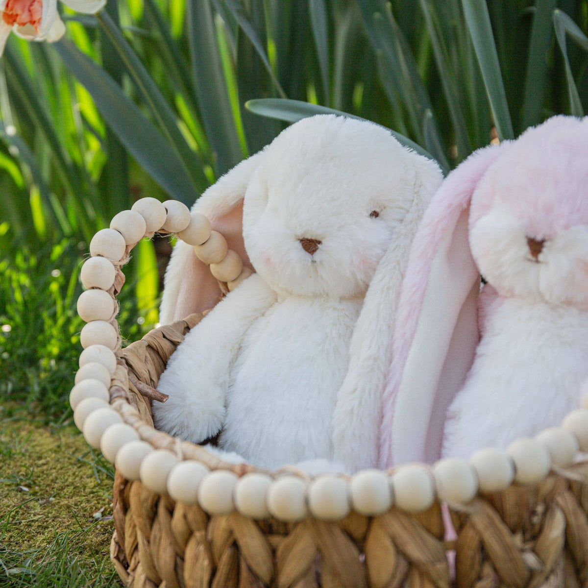 Wee 8" Nibble Bunny