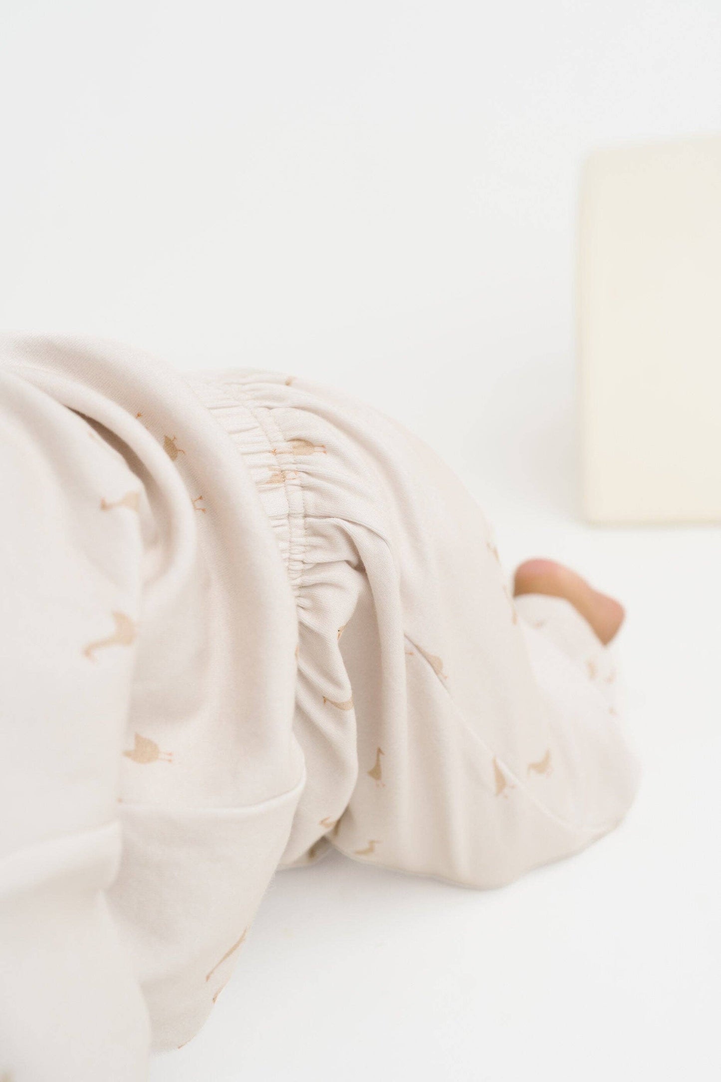 Silly Goose Sweatsuit