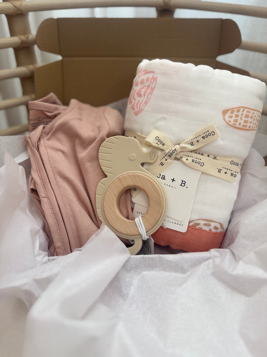 Baby Girl Gift Set