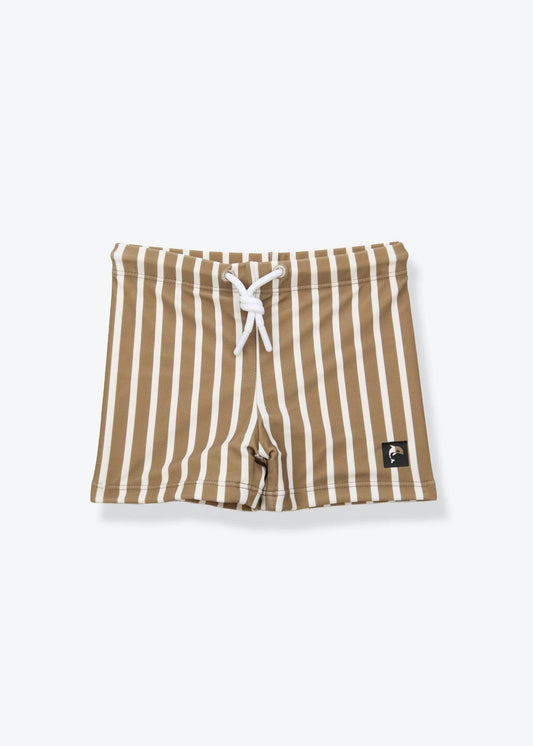 Stripe Swim Boardie Shorts